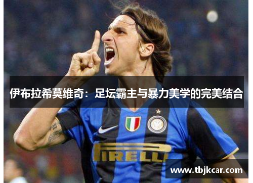 伊布拉希莫维奇：足坛霸主与暴力美学的完美结合